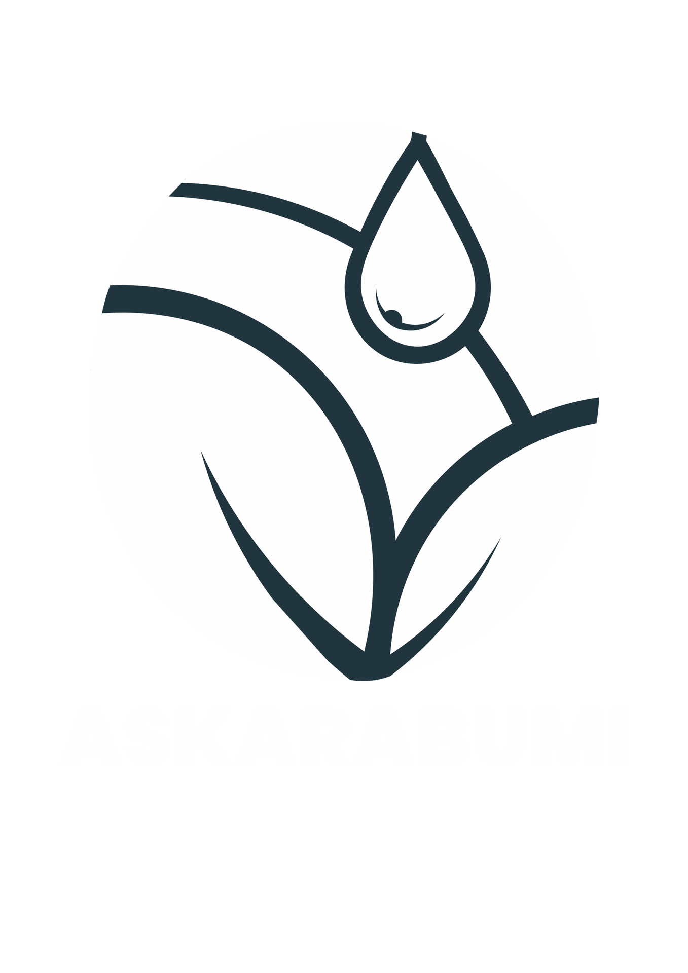 My Website